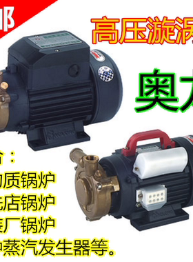 高压泵奥龙奥龙锅炉耐高温增压泵