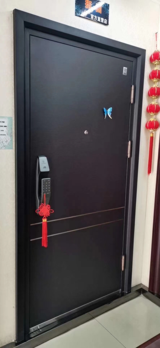 挺固甲级指纹锁入户门