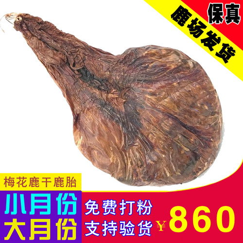 鹿胎梅花鹿嘉鸣鹿业鹿厂