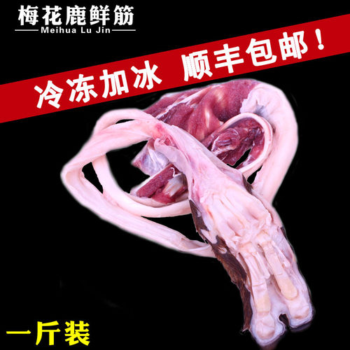 梅花鹿新鲜鹿筋整条鹿筋泡酒煲汤