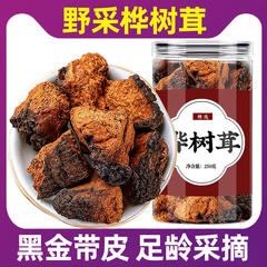 桦树茸的功效和作用长白山野生白桦茸粉非俄罗斯华树茸的作用
