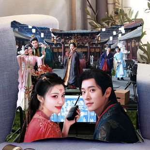 成何体统周边双面抱枕定制丞磊王楚然夏侯澹庾晚音照片礼物靠背垫