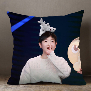 中国乒乓球队孙颖莎莎莎小豆包周边同款抱枕头可爱抱枕礼物可定制