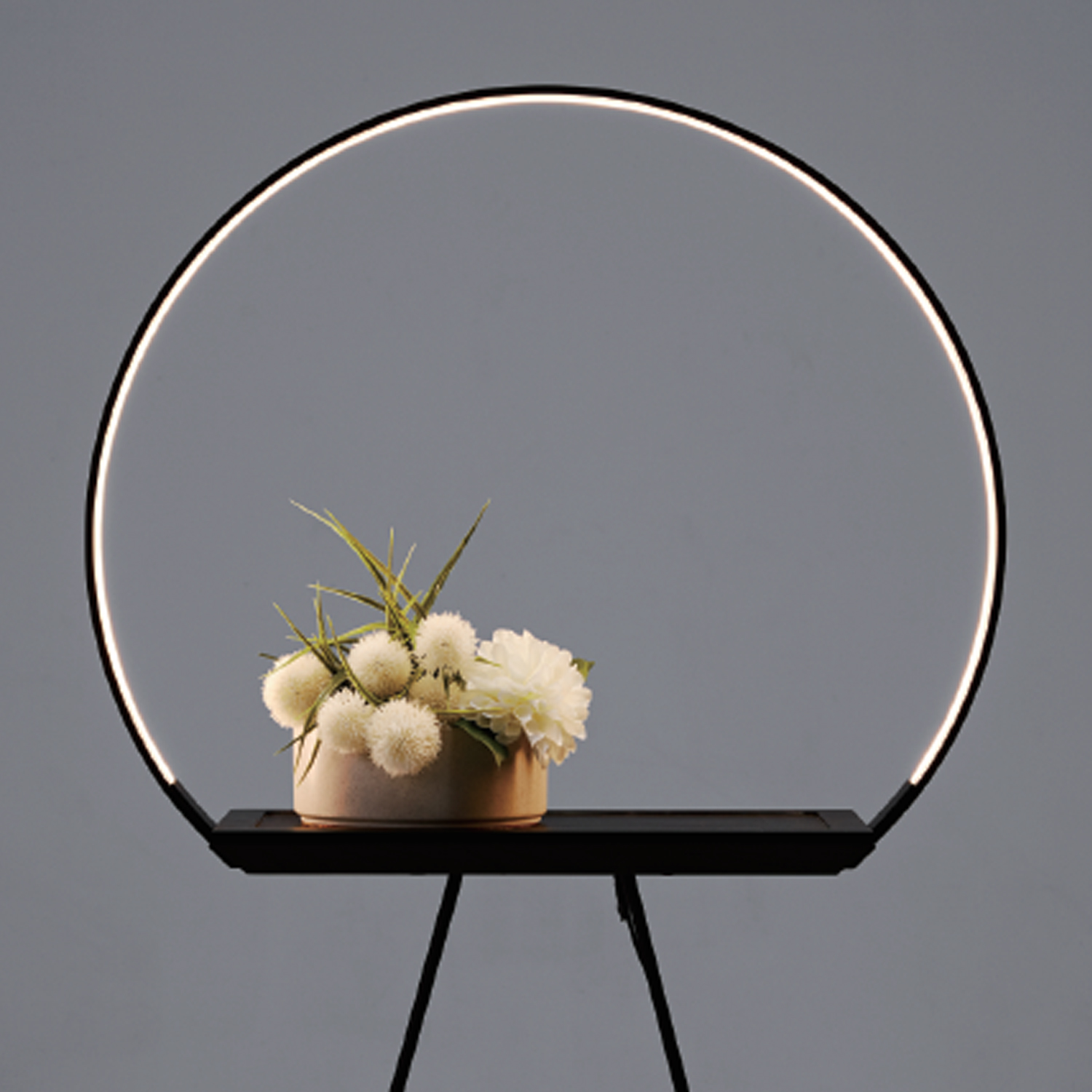 CaminoHalo水柳木植物圆柔灯桌