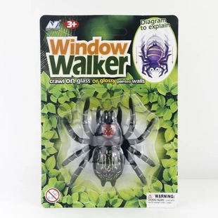 创意仿真爬墙蜘蛛玩具同款搞怪整蛊小昆虫地摊玩具塑胶来图定制