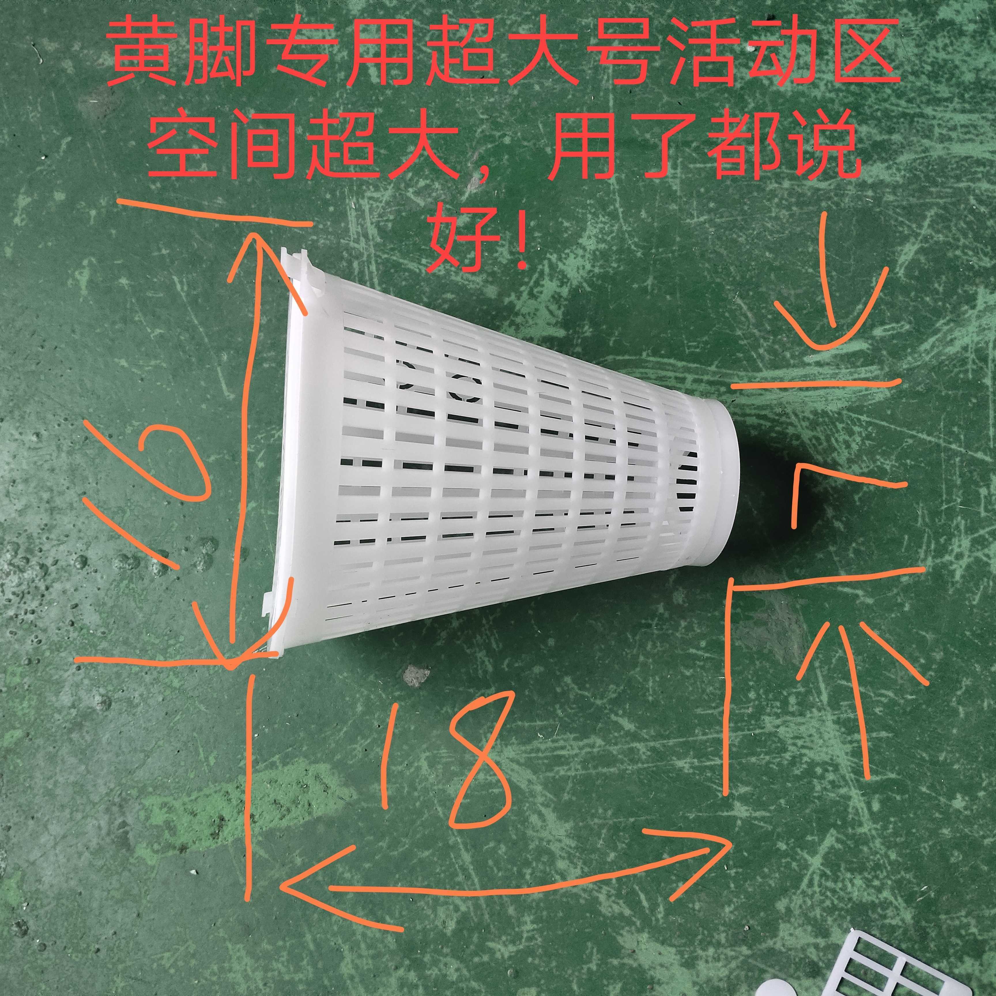 胡蜂活动区喂食笼七里黑盾黄脚活动区大号胡蜂养殖活动区8件套