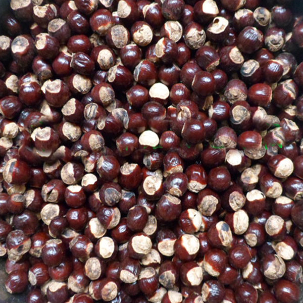 桂圆核500克g新货食用福建龙眼核子籽店内另有荔枝核木瓜籽组合方