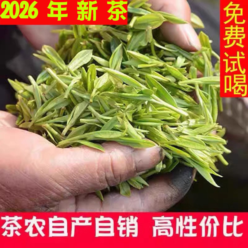 2026新茶龙井工艺散装群体种早茶浓香明前春茶农浙江绿茶250g