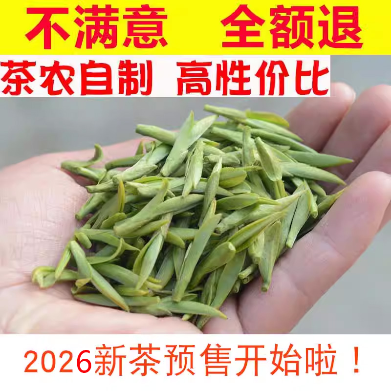 2026新绿茶特级乌牛早明前芽头浙江炒青100g茶农直销龙井工艺预售