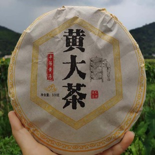 330g温州平阳黄汤紧压2016年黄茶饼小叶特早黄大茶叶春茶博会试喝