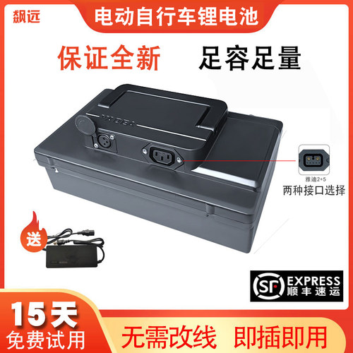 雅迪48V12AH电动车锂电池