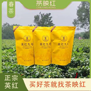 春茶正宗英德红茶英红九号高香红茶50克试喝装 茶映红