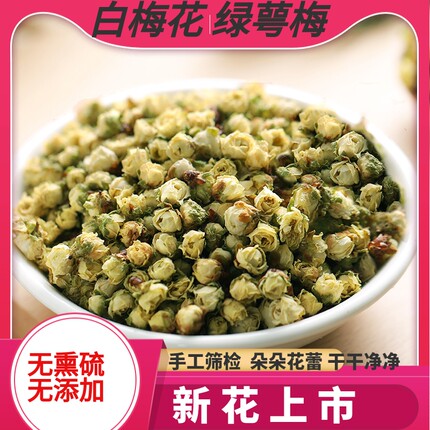 新白梅花干中药材黄山绿萼鄂梅白梅花玫瑰花茶绿梅花苞无熏硫50克
