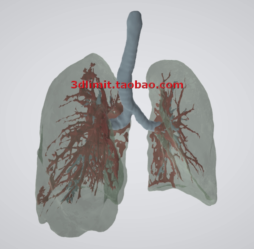 3D打印扫描DICOM dcm nii nrrd hdr CT医学数据转换3D模型stl obj图片
