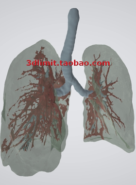 3D打印扫描DICOM dcm nii nrrd hdr CT医学数据转换3D模型stl obj