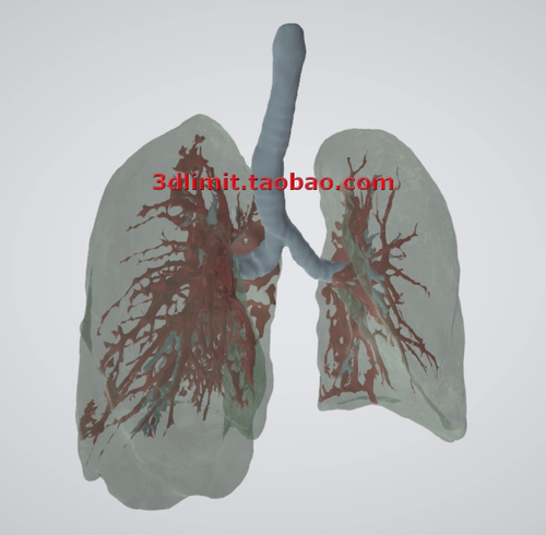 3D打印扫描DICOM dcm nii nrrd hdr CT医学数据转换3D模型stl obj