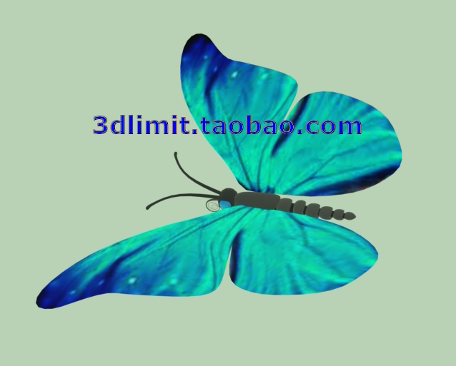 蝴蝶动画模型fbx gltf glb用于3dmax c4d 犀牛 maya sketchup