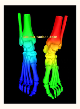 3D打印扫描DICOM dcm nii nrrd hdr CT医学数据分析3D模型stl obj