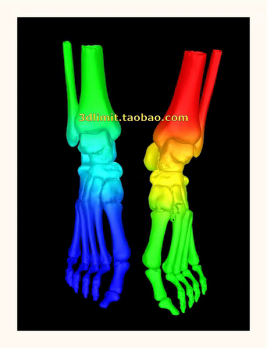 3D打印扫描DICOM dcm nii nrrd hdr CT医学数据分析3D模型stl obj