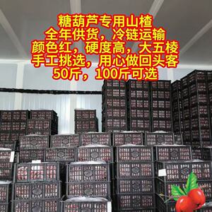 山楂批发糖葫芦专用大五棱山楂果全年供货冷链运输