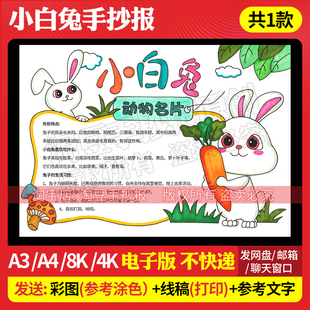 观察动物小白兔手抄报模板动物名片电子版观察日记笔记线稿344