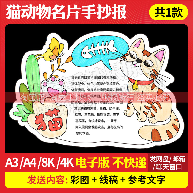 小花猫介绍手抄报模板动物观察卡片异形卡电子版线稿打印涂色653