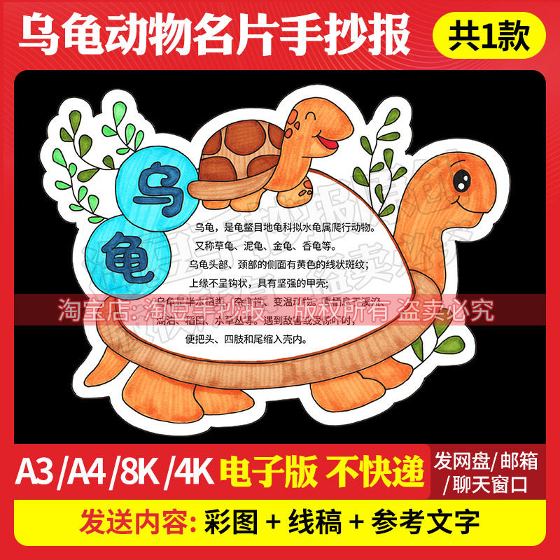 乌龟介绍手抄报模板观察动物趣味卡片异形卡电子版线稿打印657