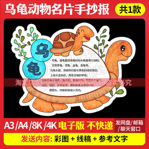 乌龟介绍手抄报模板观察动物趣味卡片异形卡电子版线稿打印657