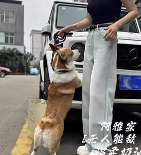 阿雅家 春新款无人能敌 奶油色修身直筒裤 牛仔裤