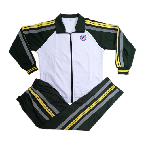 2025款凤岗镇华侨中学校服新款