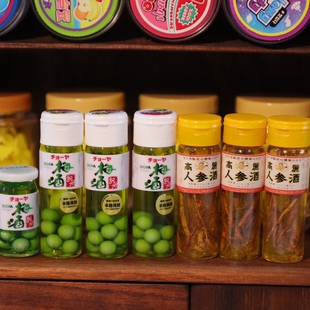 不能吃迷你微缩食玩娃屋仿真模型手工青梅酒人参酒意粉罐罐糖