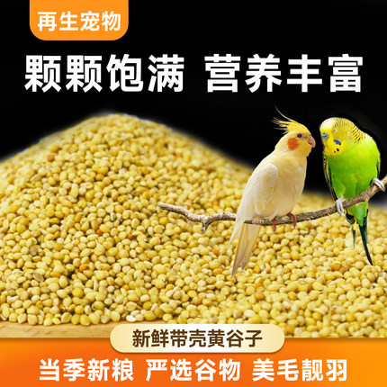 鹦鹉鸟粮饲料新黄谷子带壳小米虎皮鹦鹉饲料玄凤牡丹专用食物粮食