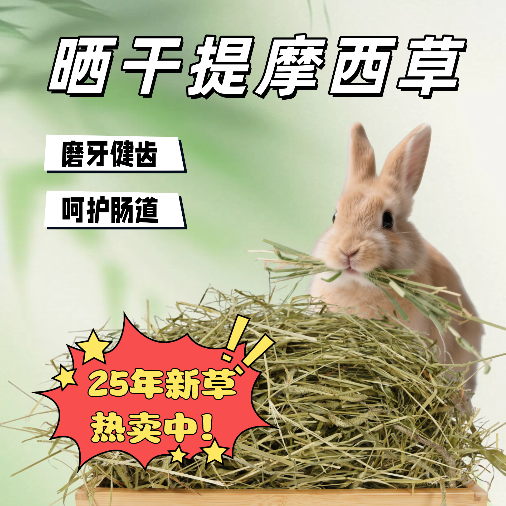 2025晒干提摩西草头茬草段兔粮食干草兔子饲料龙猫荷兰猪牧草磨牙