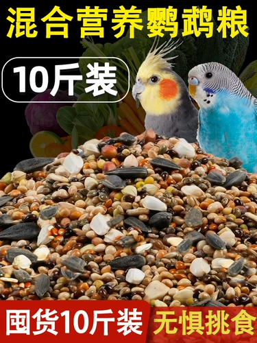 Свежие и не собирая рот, красивые волосы, красивые перья, питание птиц птиц