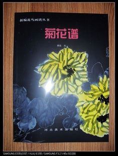河北美术出版 全新正版 社M1 新编花鸟画谱丛书 菊花谱