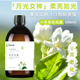 天然饱和茉莉小花纯露500ml干燥油初老高浓惊艳亮补水保湿 爽肤水
