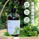 花初夏薄荷纯露清凉爽肤补水油皮痘痘闭口粉刺晒后可用头道500ml