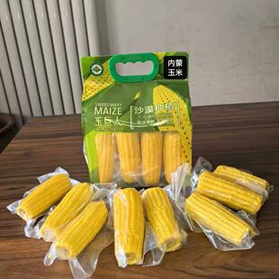 玉巨人有机玉米乌兰布和沙漠种植内蒙古巴彦淖尔隆福沃原早餐苞米