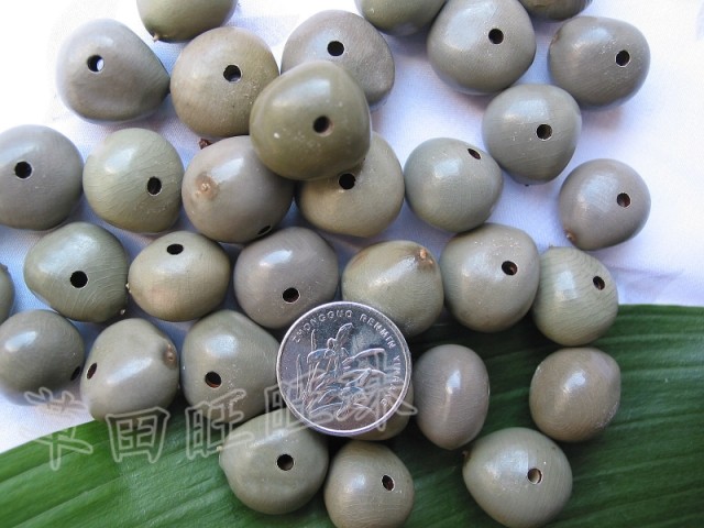 diy原籽月亮子散珠菩提籽种特价