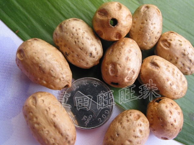 diy原籽五眼六通散珠菩提籽种