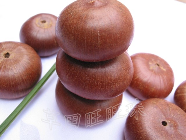 diy原色莲花座菩提籽种原籽散珠