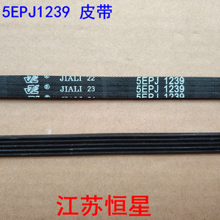适用美的小天鹅海尔滚筒洗衣机皮带5PJE1239 5EPJ1239