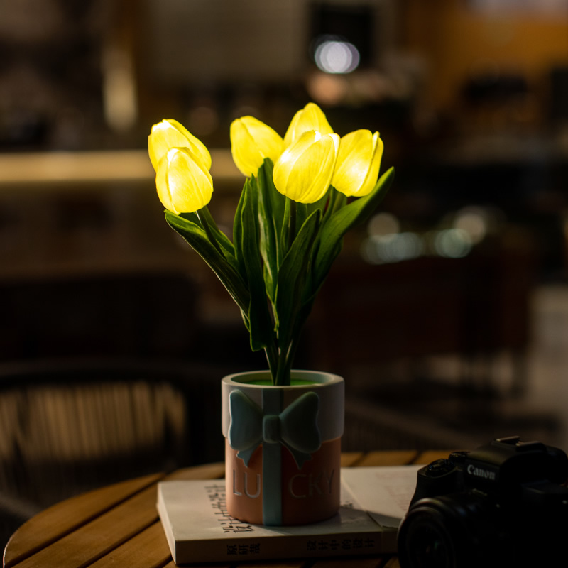教师节礼物生日礼物送女生