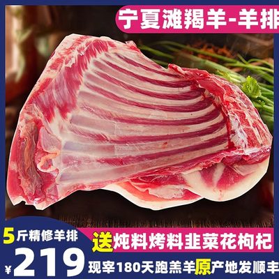 羊排新鲜宁夏滩羊肉5斤