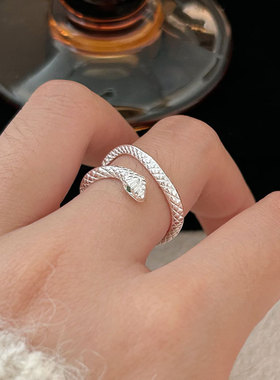 持恒S925纯银韩国韩版蛇戒指女设计感时尚冷淡风本命年指环高级感