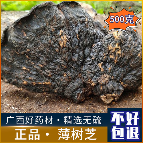 薄树芝野生中药材新鲜500克
