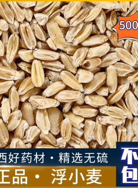 广西浮小麦中药材 新鲜浮麦 淮小麦干货止汗茶500g克包邮正品