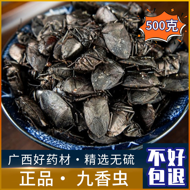 九香虫中药材500克新货黑兜虫 屁巴虫 黑瓜蝽 屁板虫臭壳虫干包邮