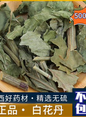 广西野生新鲜白花丹500克中药材 百花丹 白雪花 白花丹茶干货包邮