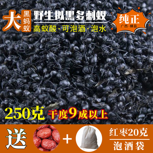 广西黑蚂蚁正品野生250g泡酒食用